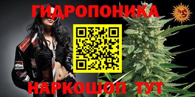 тгк Моздок