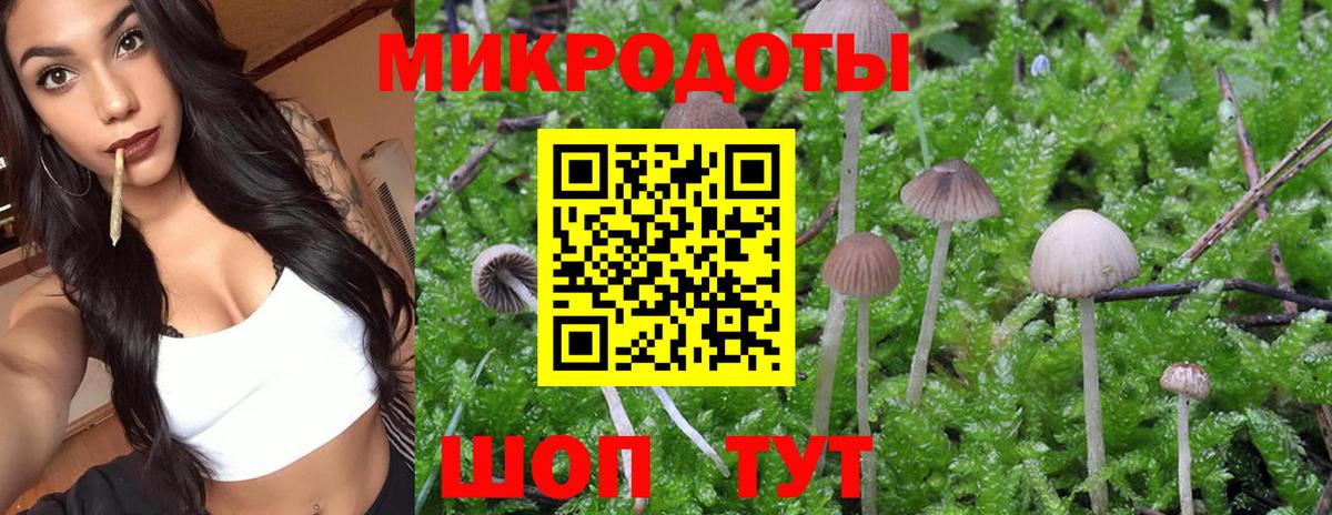 Псилоцибиновые грибы прущие грибы Чернушка