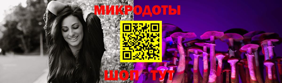 Галлюциногенные грибы Psilocybine cubensis  Вход с VPN  Псилоцибиновые грибы GOLDEN TEACHER  Чернушка 